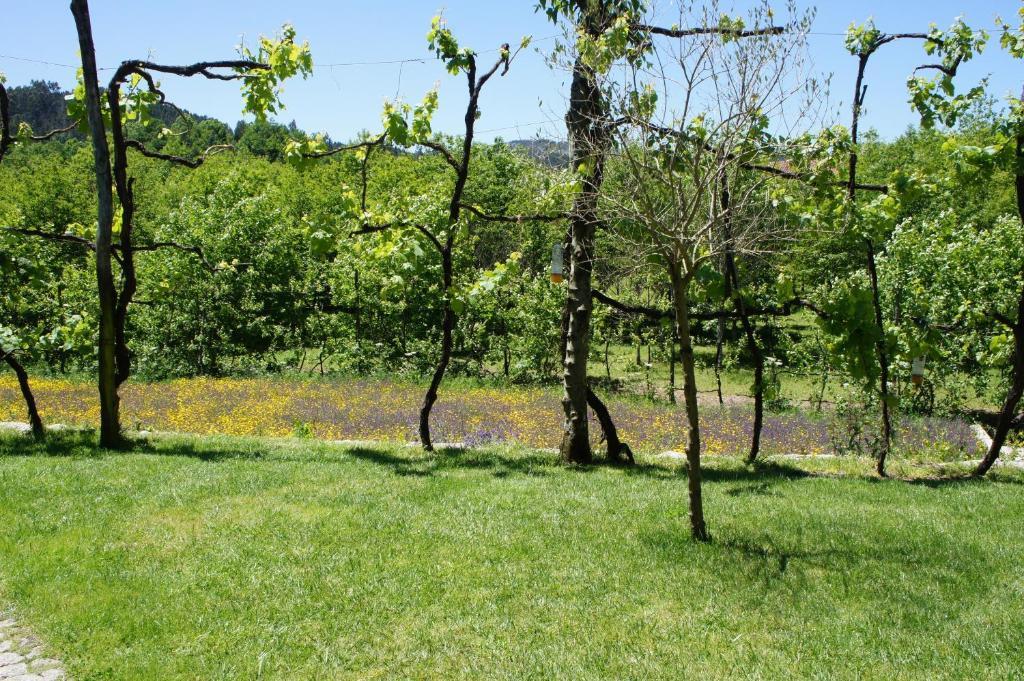 Quinta Travessa Villa Виейра до Миньо Екстериор снимка