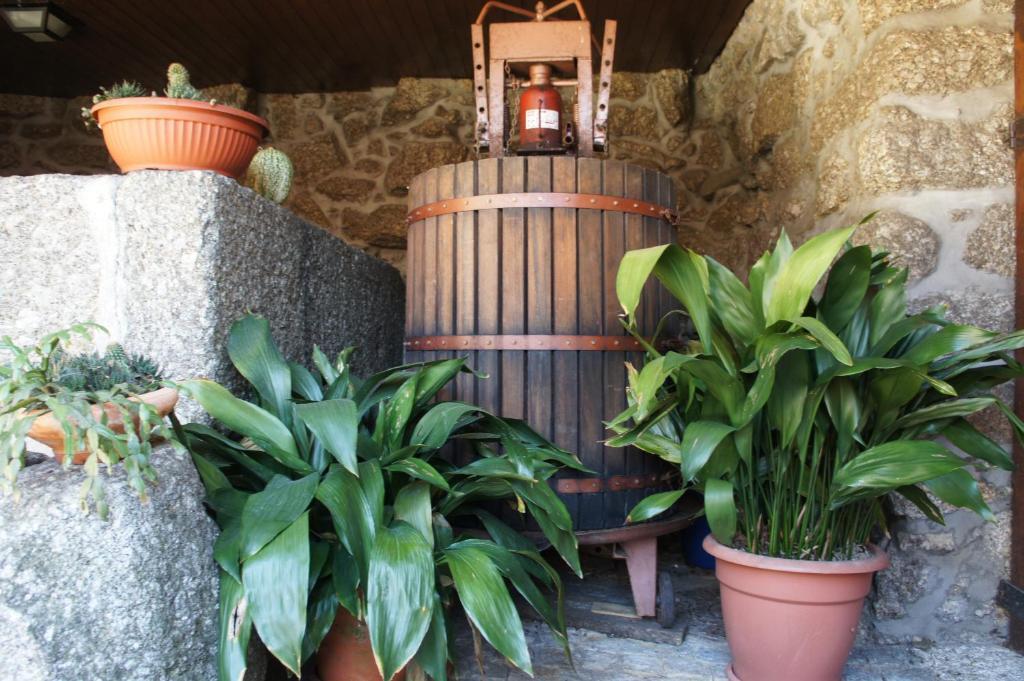 Quinta Travessa Villa Виейра до Миньо Екстериор снимка